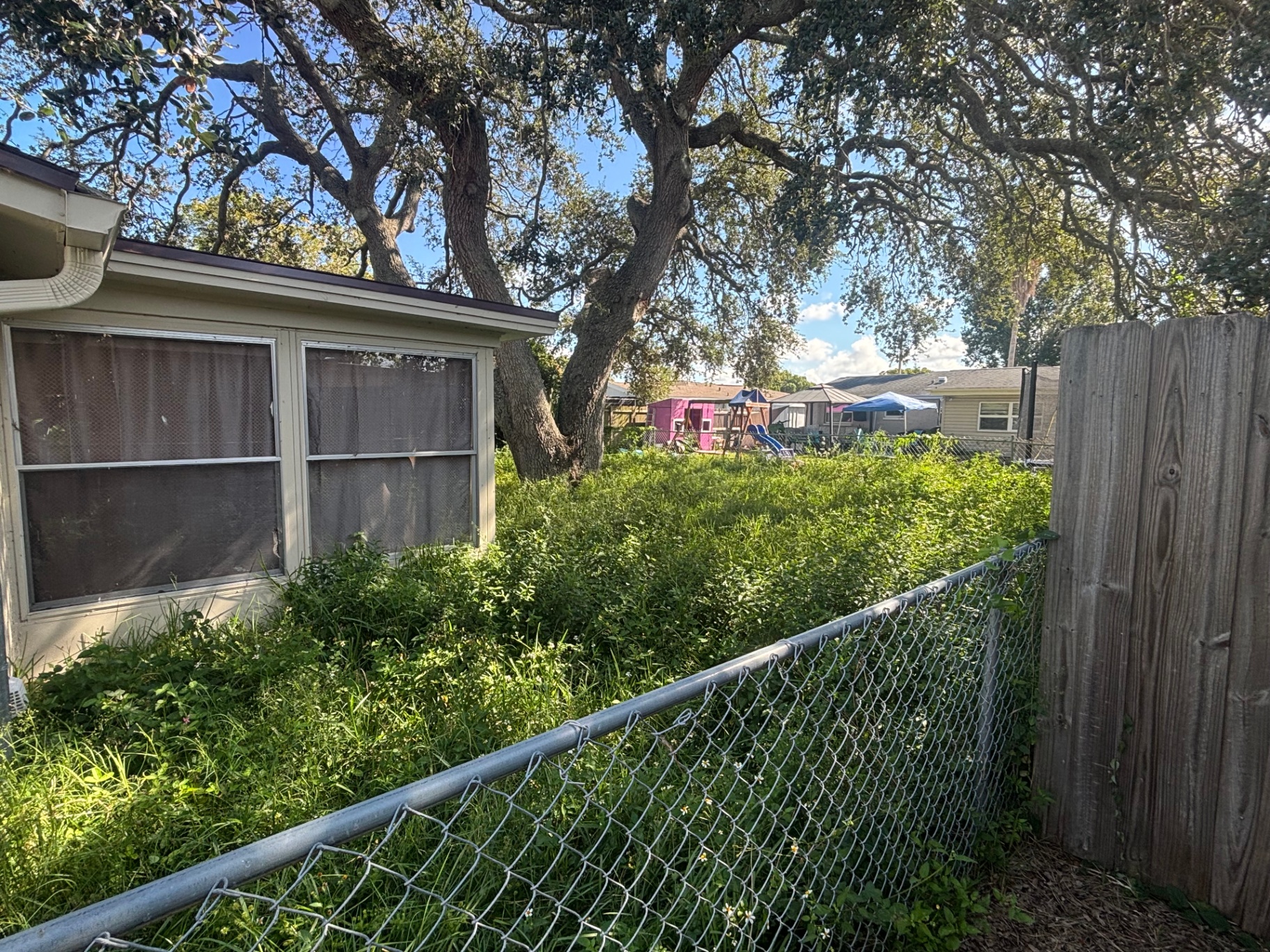 Lawn Restoration — before