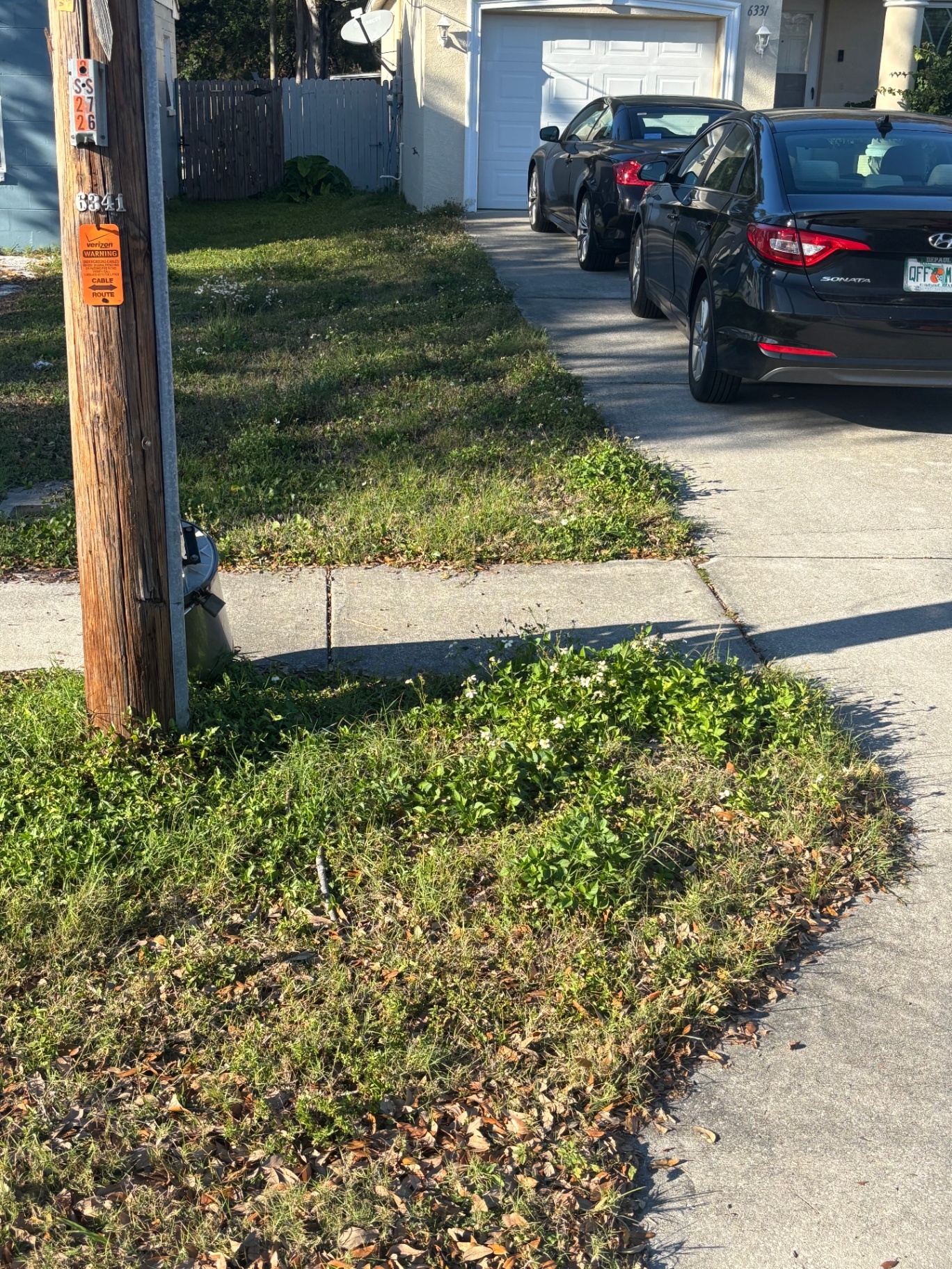 Weekly Mowing — before